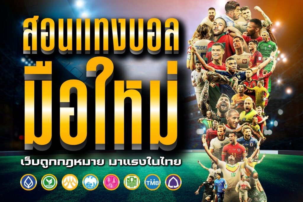 สอนแทงบอล มือใหม่